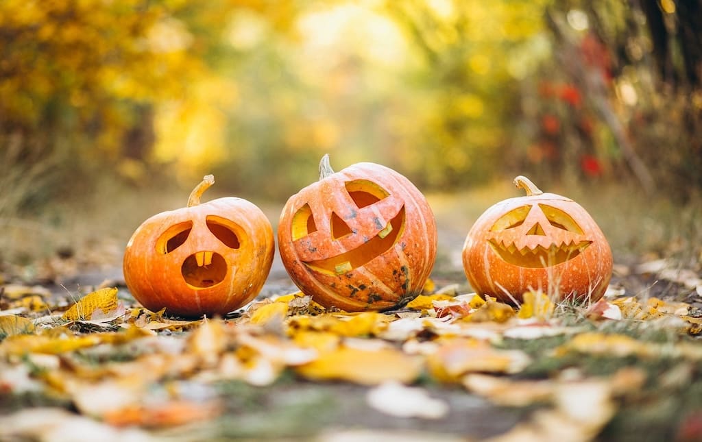 Three fun designed pumpkins siting on path outside