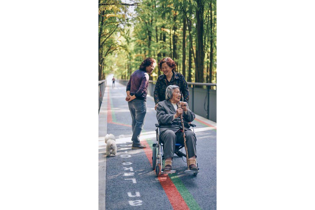 Three mature Asian women in a park with a dog. One woman is in a wheelchair people on a walk