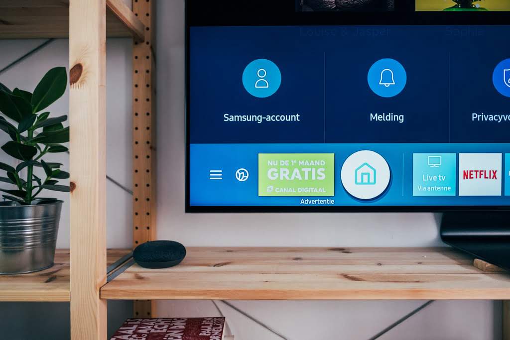 Photo of a TV screen with a wooden shelf and plants tv menu