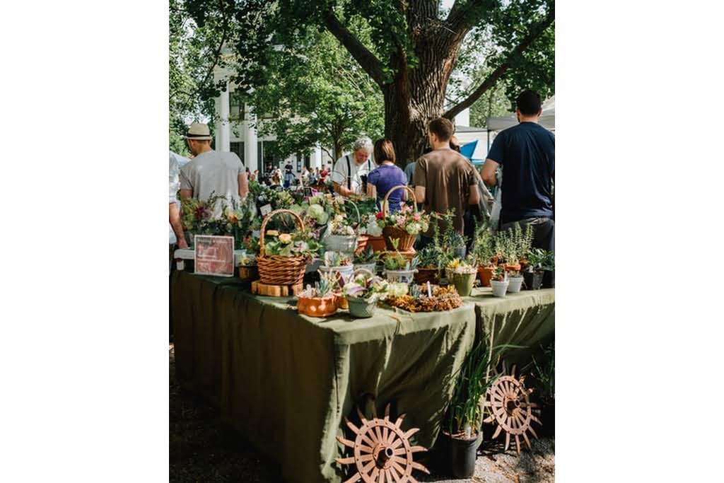 Adults milling around a table outside with flowers on it outdoor gathering