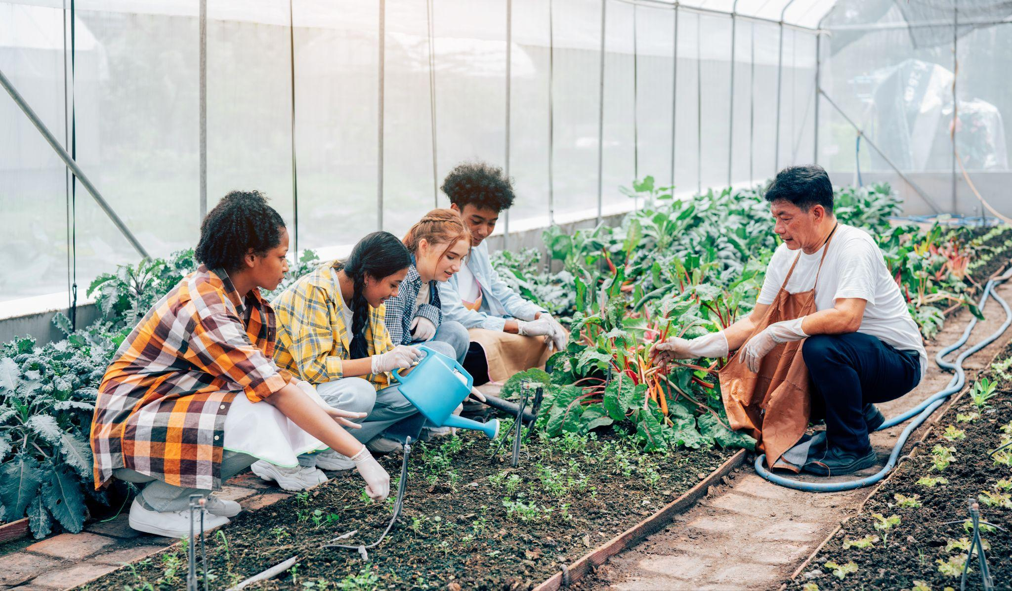 Students and teacher tending a school garden